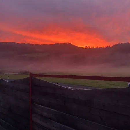 Bed & Breakfast Mooswirt 3*